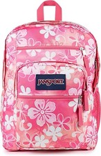 JanSport Laptop Backpack -