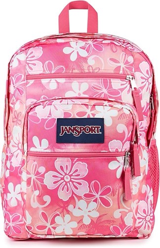 Jansport laptop backpack - laptop,